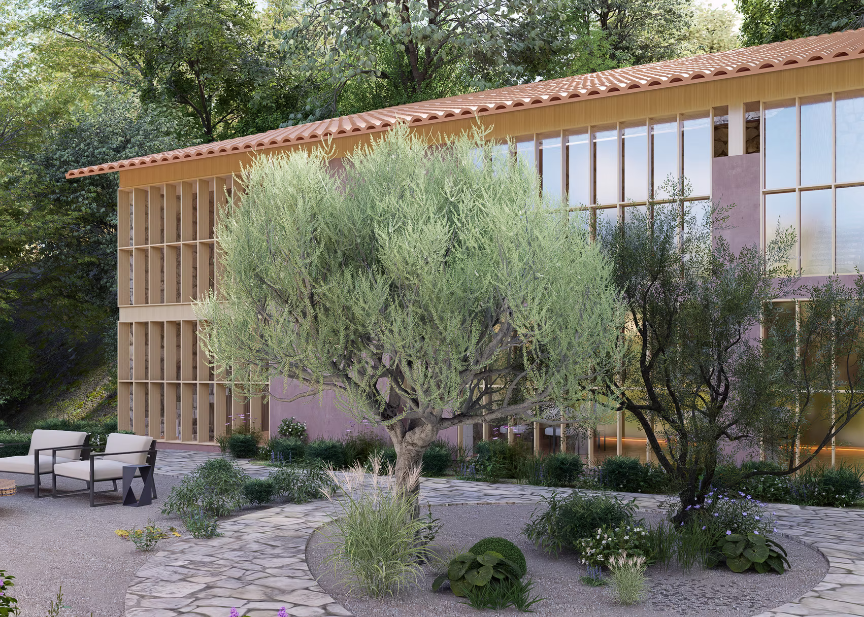 Restaurant garden render, Hyderabad: mature olive tree, crazy-paving path and a pink plastered, timber-windowed wing