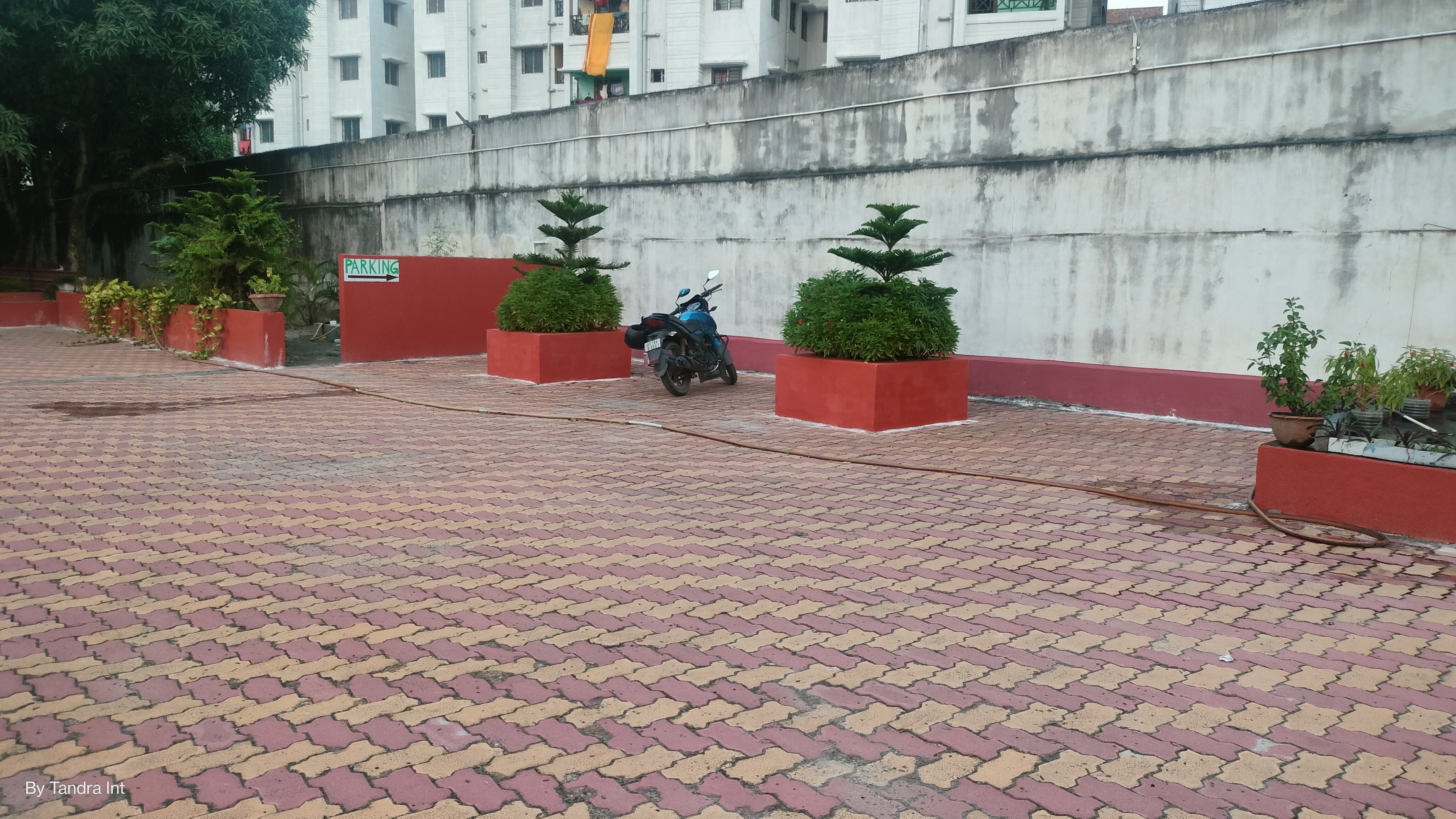 Photo 6