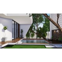 Slim courtyard pool framed by tall trees, timber deck and stone wall against white farmhouse walls, Hyderabad