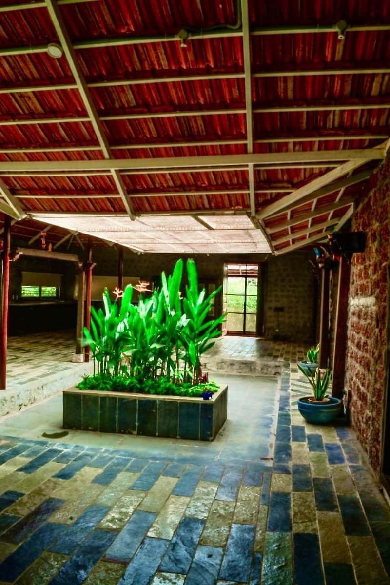 Farmhouse courtyard with red timber-batten ceiling, slate tile floor and a raised planter of lush foliage, Hyderabad