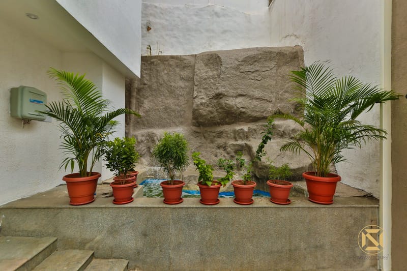 Sunken courtyard ledge lined with potted areca palms and shrubs against a textured grey rock wall, Hyderabad home